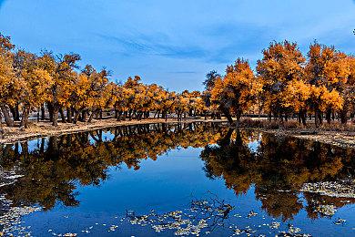 《全面战争 法老》战役自定义介绍 10月11日发售